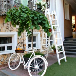 A stylish outdoor scene featuring a white bicycle, ladder, and lush greenery in a cozy setting.